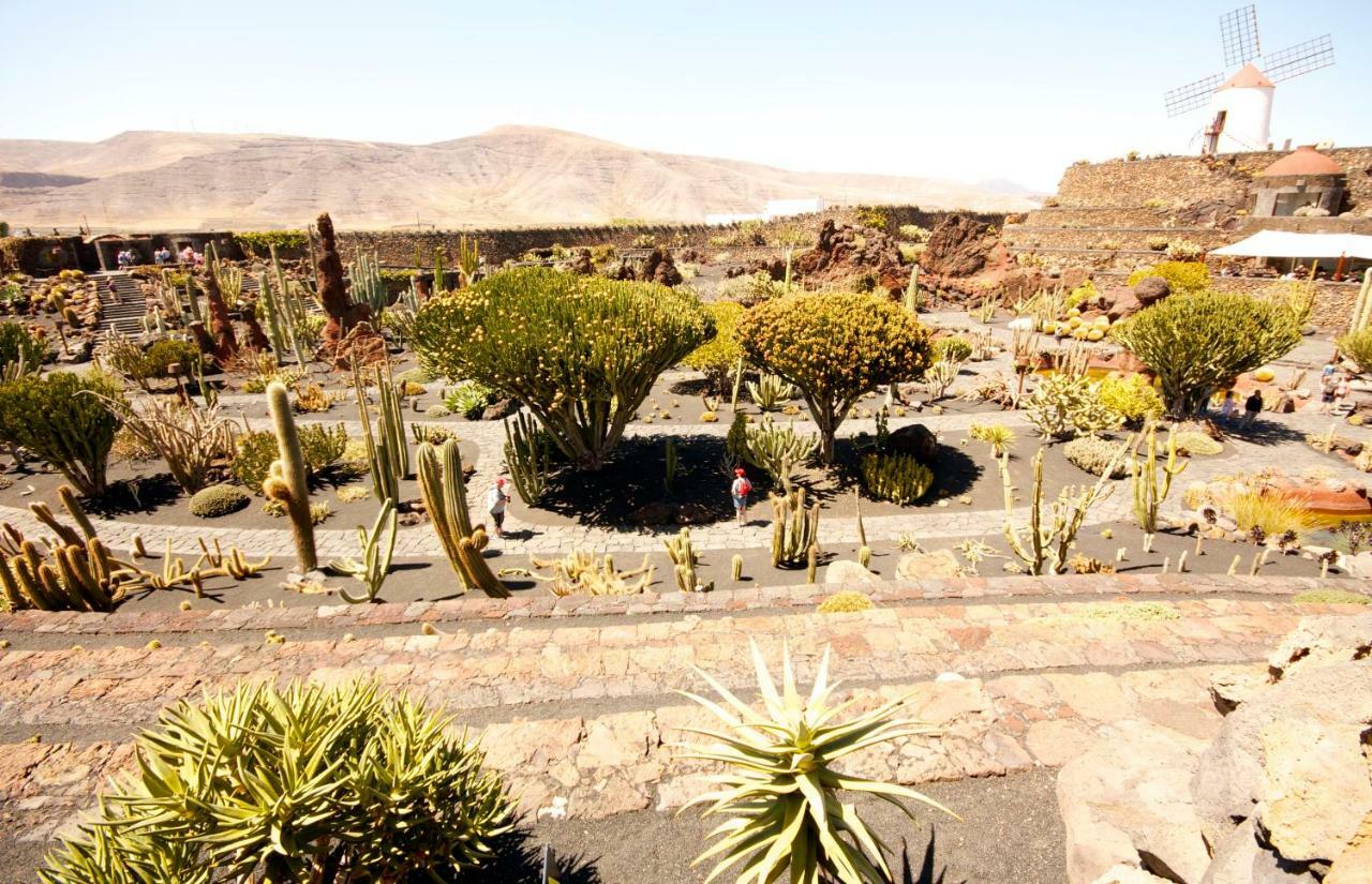 Casa Valle De Palmeras Haría Dış mekan fotoğraf